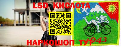 тгк Партизанск