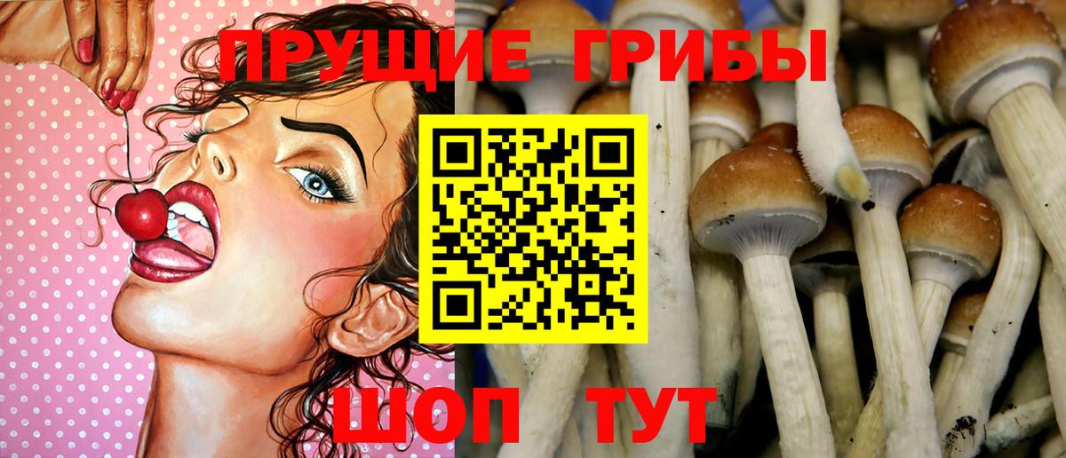 Галлюциногенные грибы прущие грибы Советский