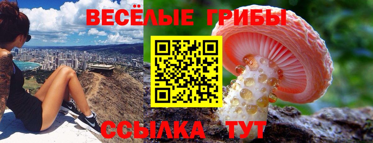 Псилоцибиновые грибы ЛСД  Вход с VPN  Псилоцибиновые грибы Cubensis  Советский 